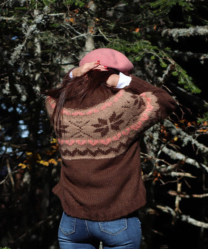 JERSEY ALPINO NOEL - Imagen 3